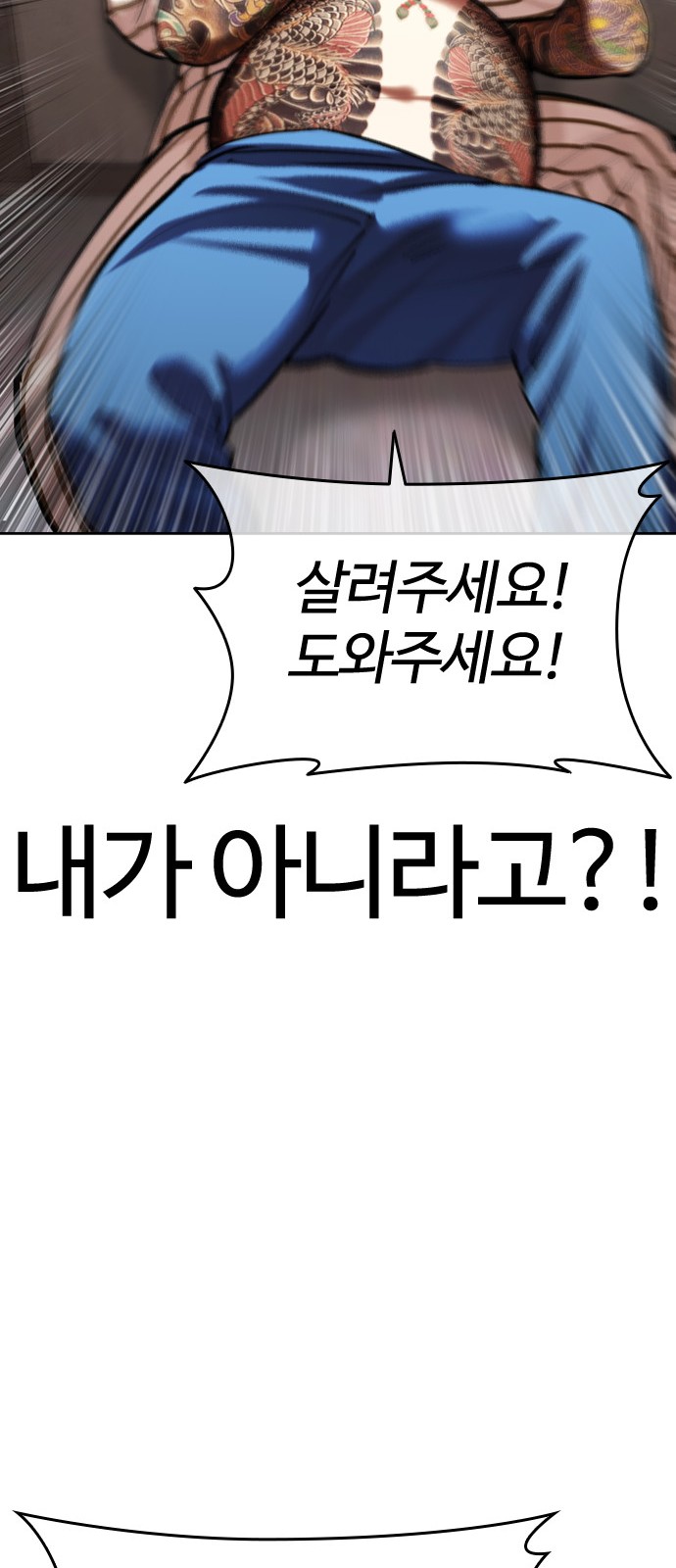 43 페이지