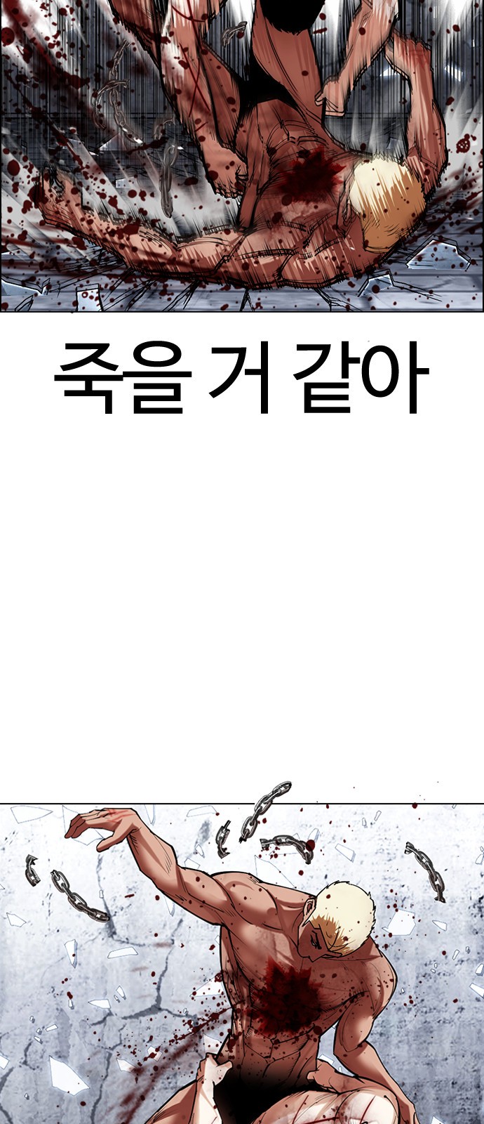 41 페이지
