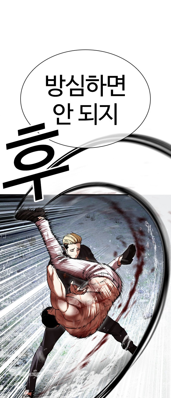 113 페이지