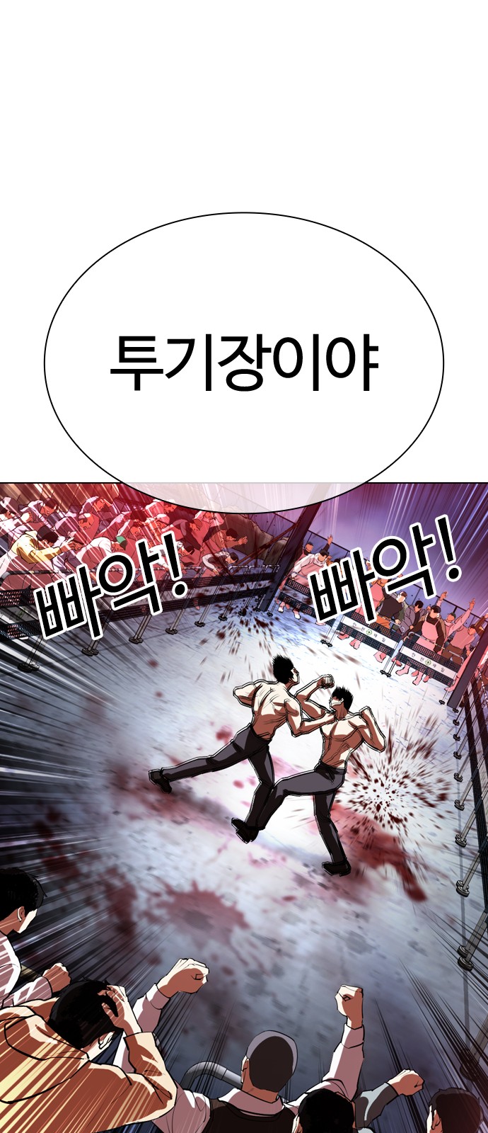 146 페이지