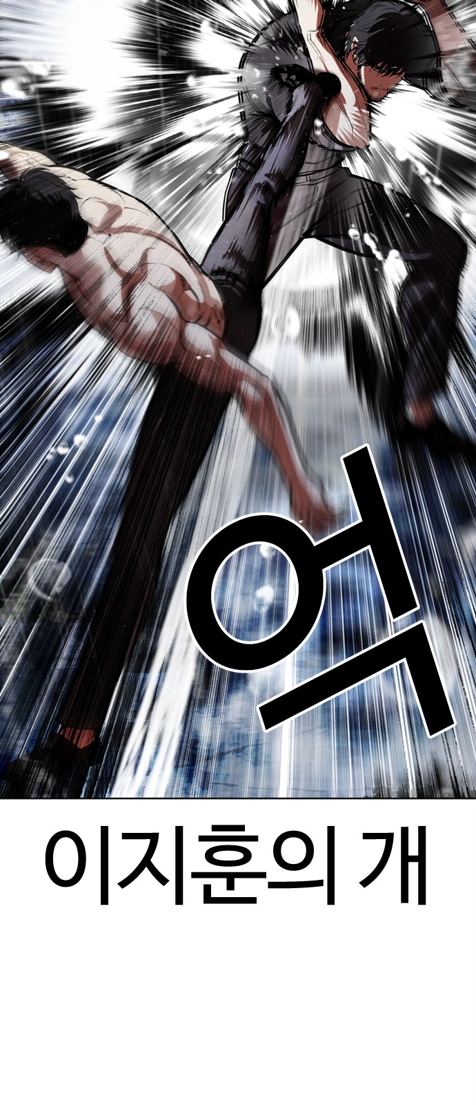 45 페이지