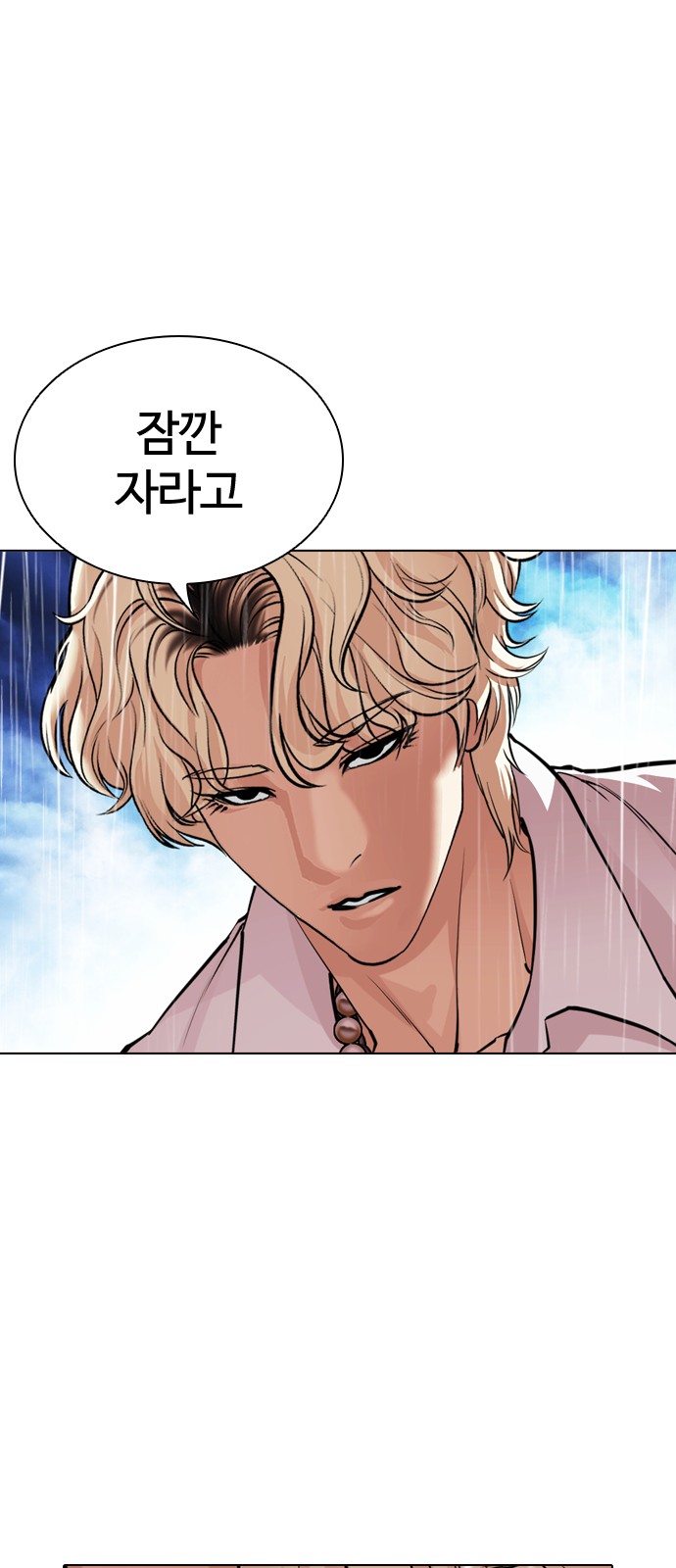 30 페이지