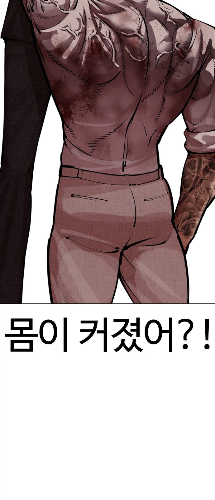 117 페이지