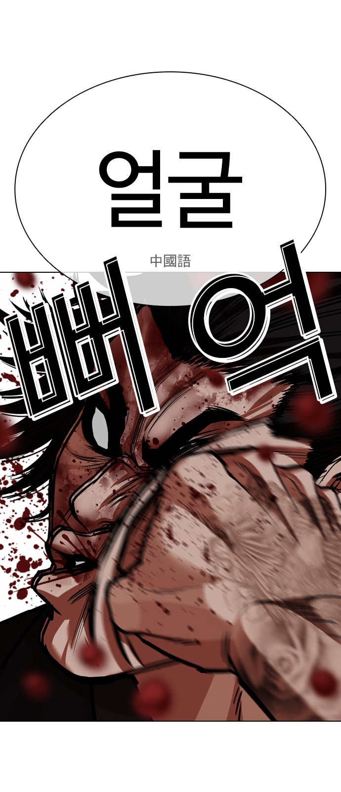 146 페이지