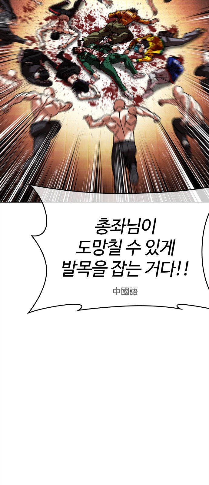 66 페이지