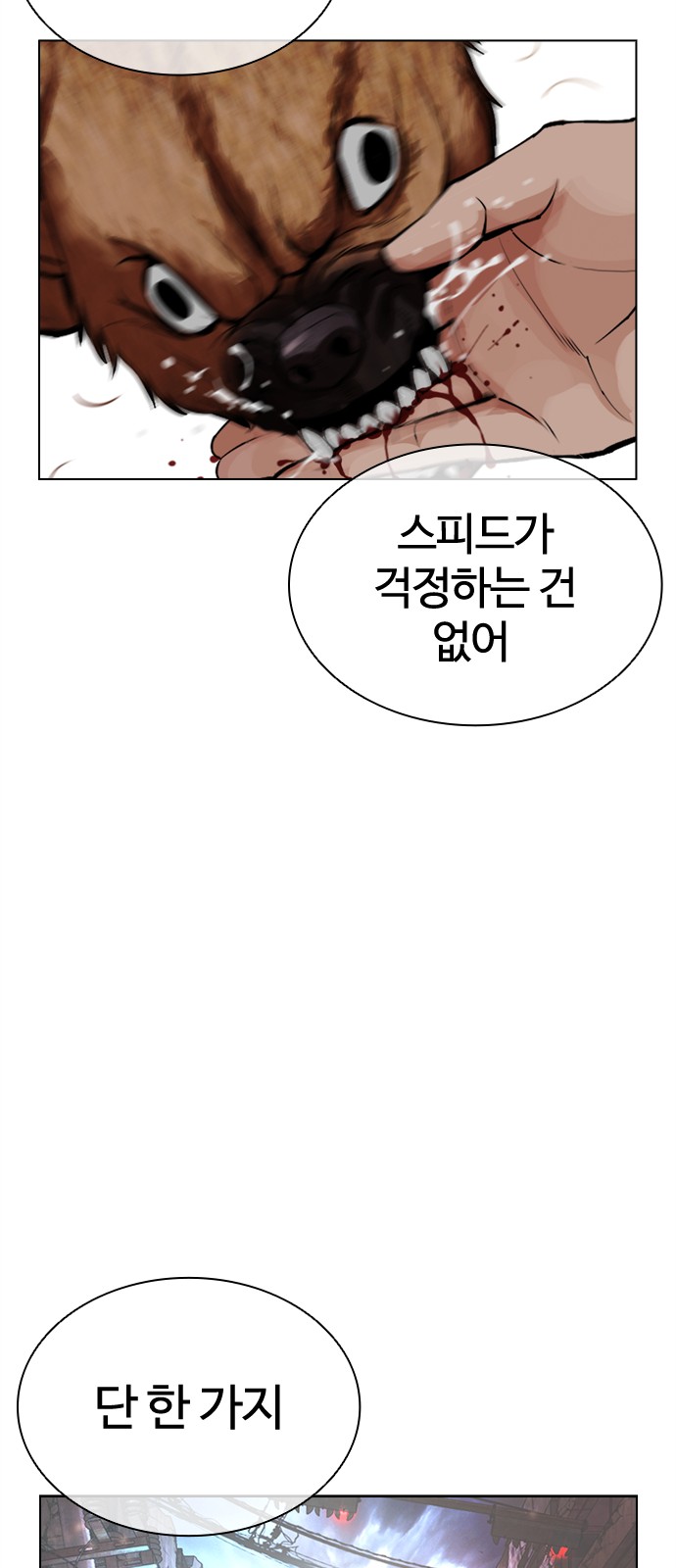 141 페이지