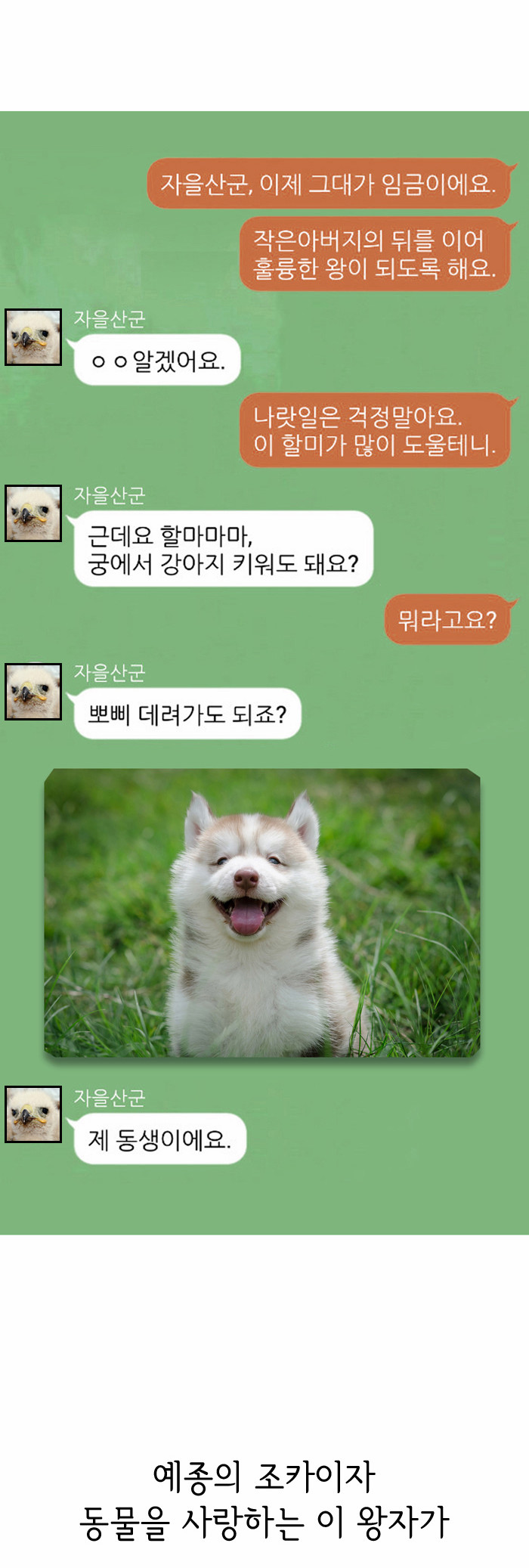 11 페이지