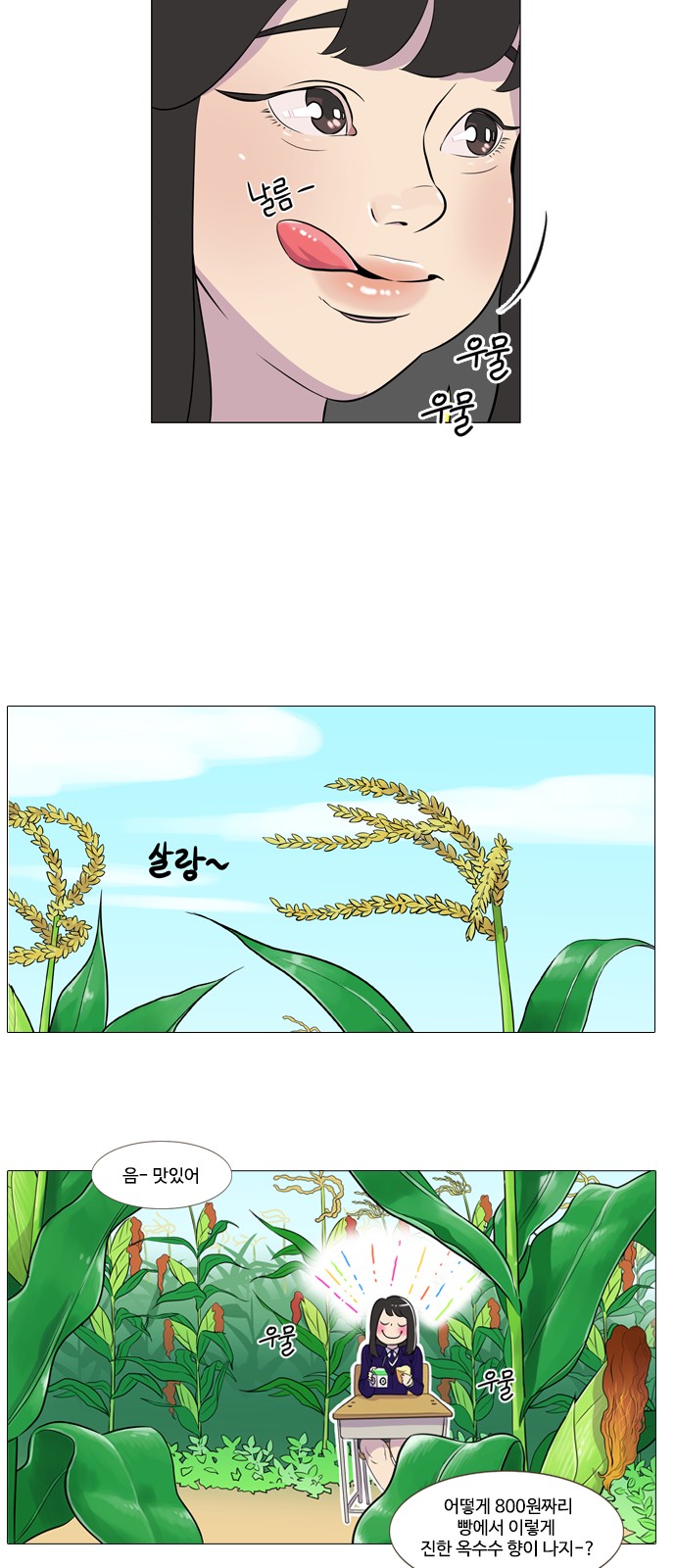 14 페이지