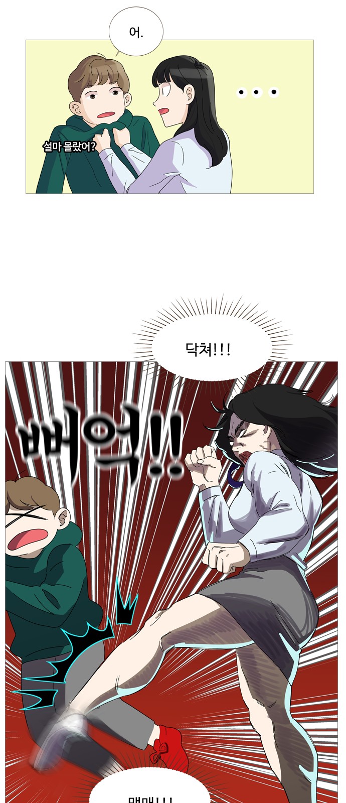 20 페이지