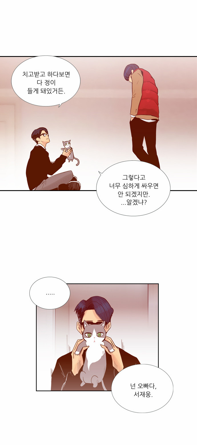 11 페이지