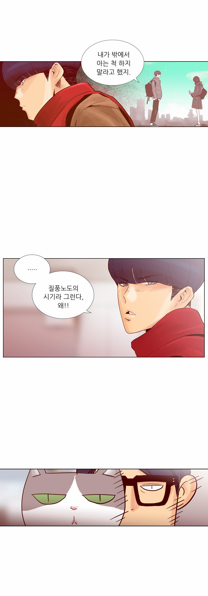 13 페이지