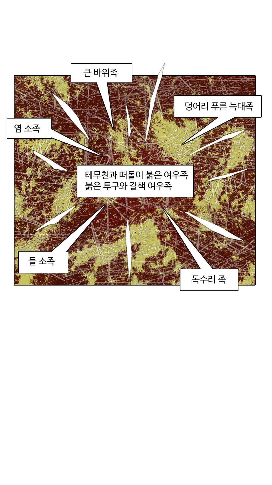 37 페이지