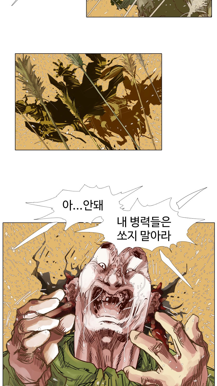 30 페이지