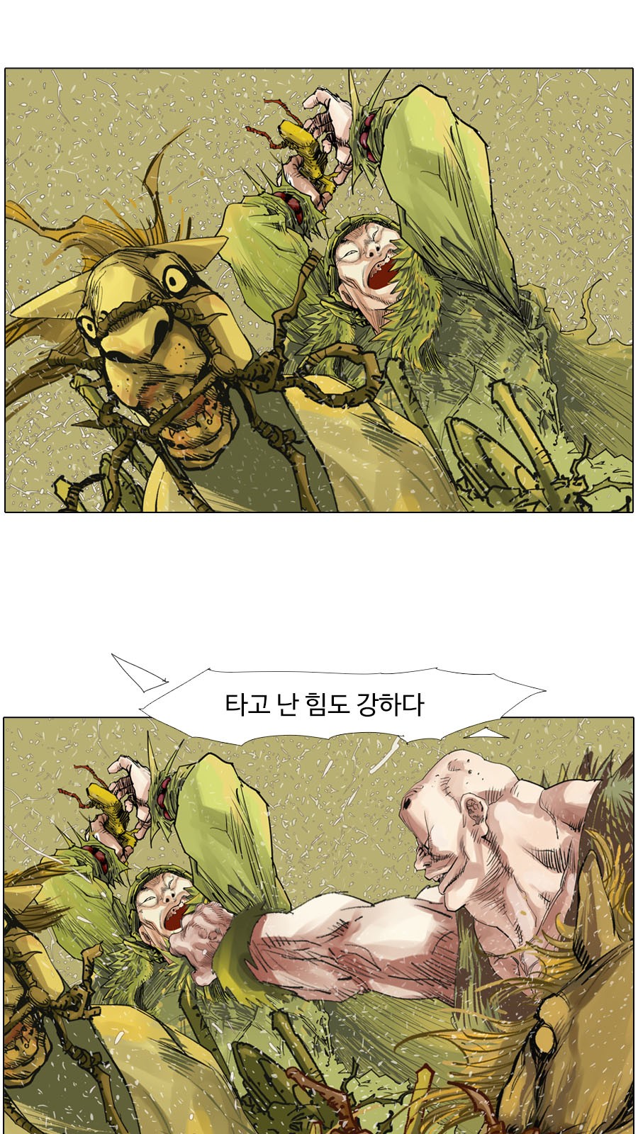 5 페이지