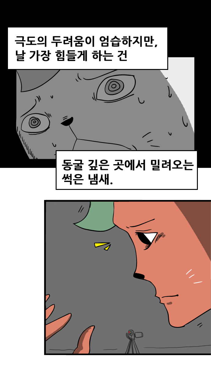 5 페이지