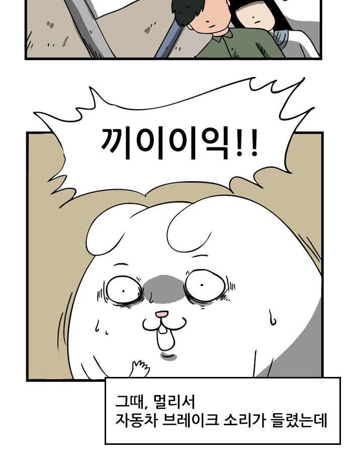 13 페이지