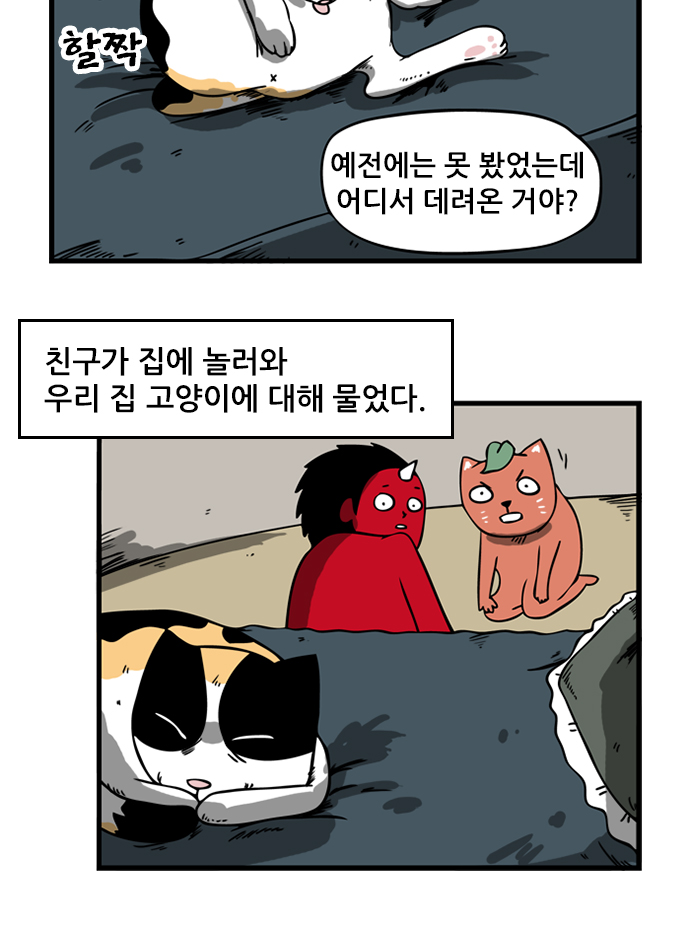 3 페이지