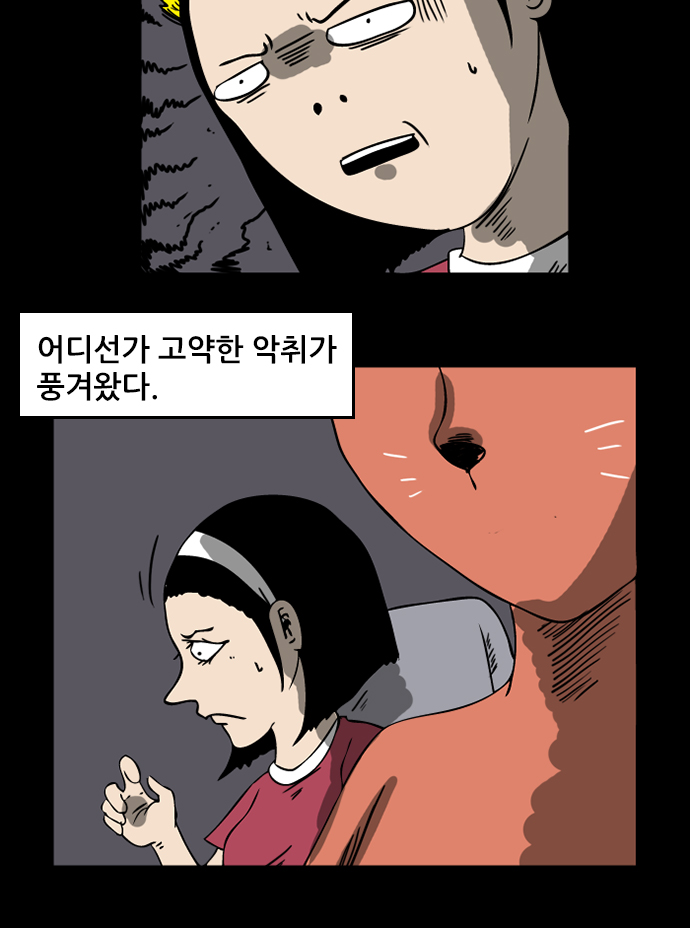 5 페이지