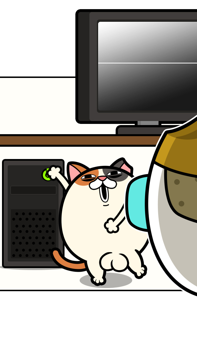 11 페이지