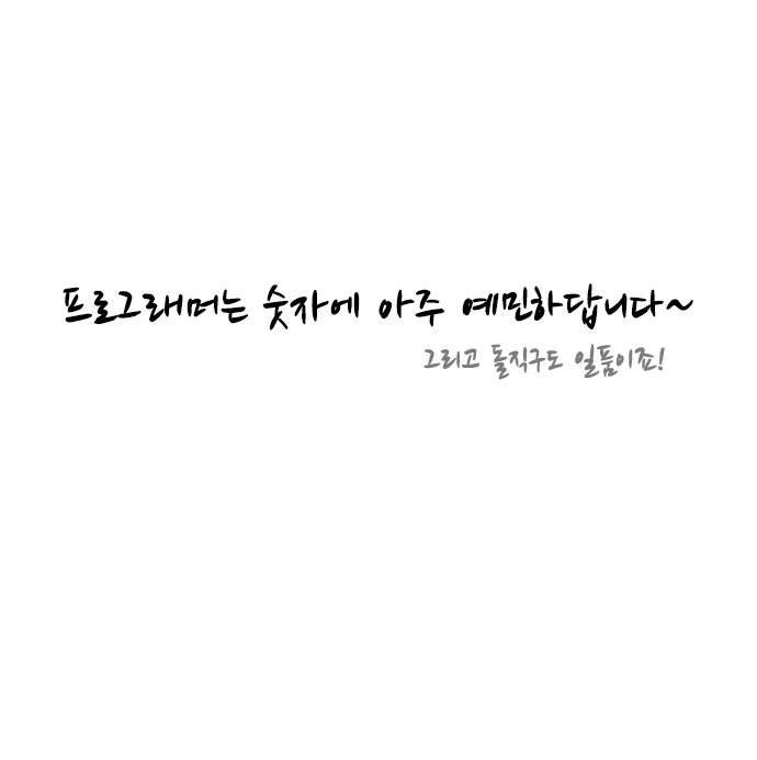 11 페이지