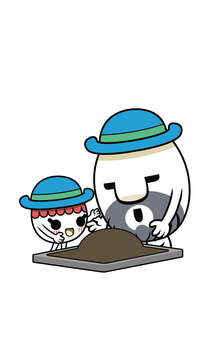 11 페이지