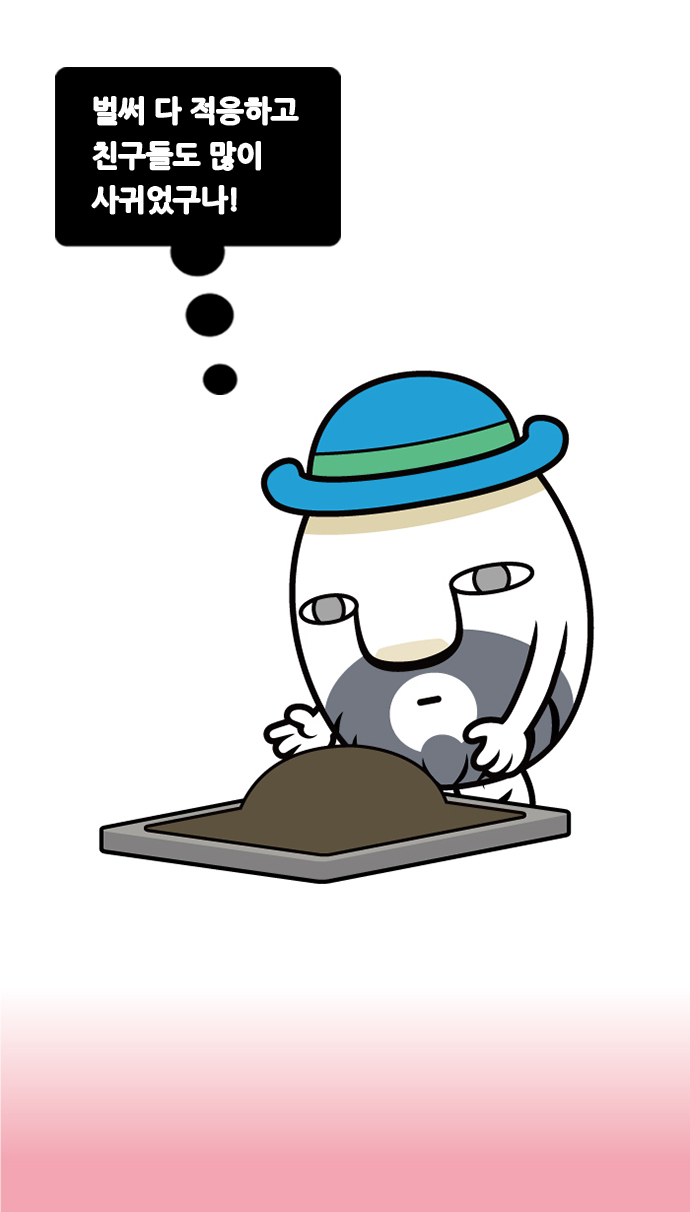 19 페이지