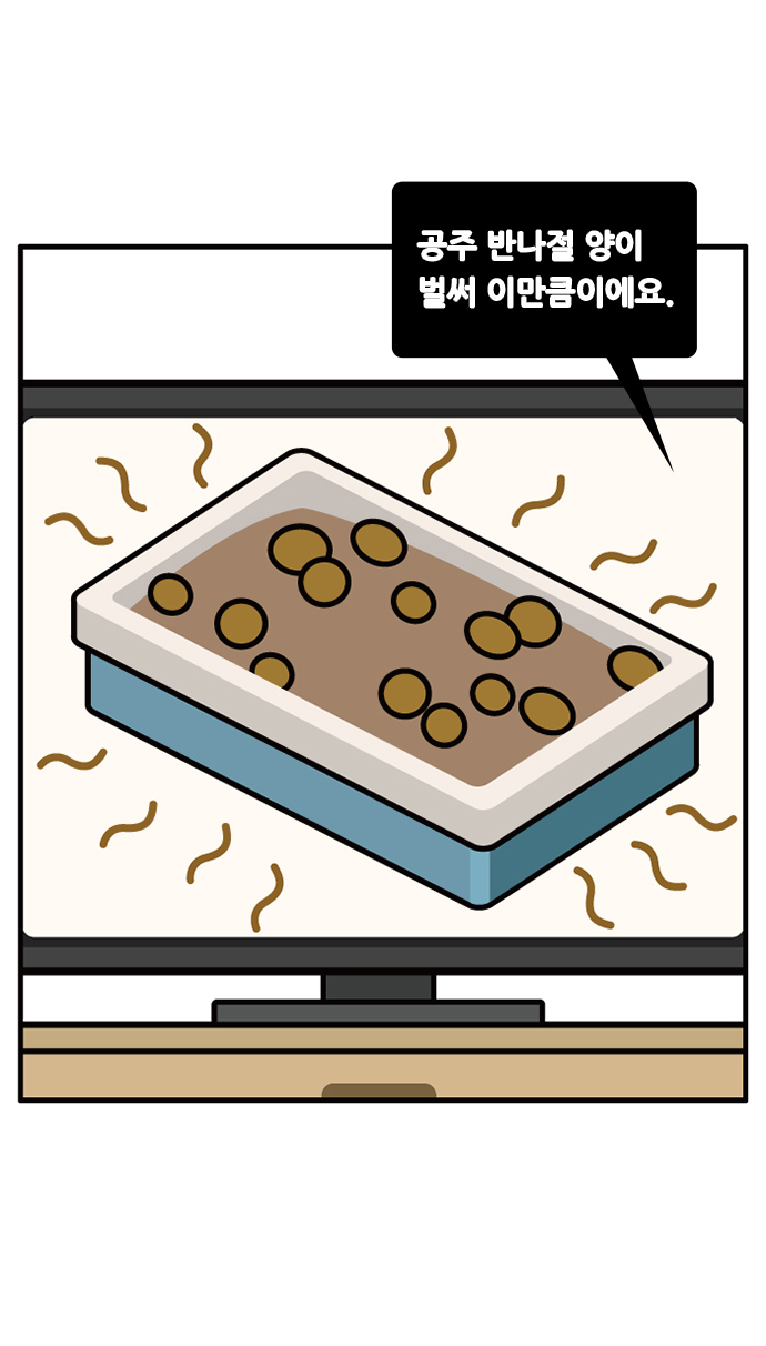17 페이지