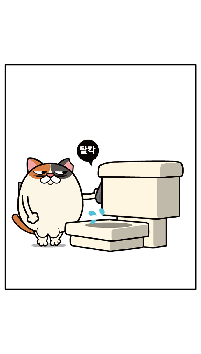25 페이지