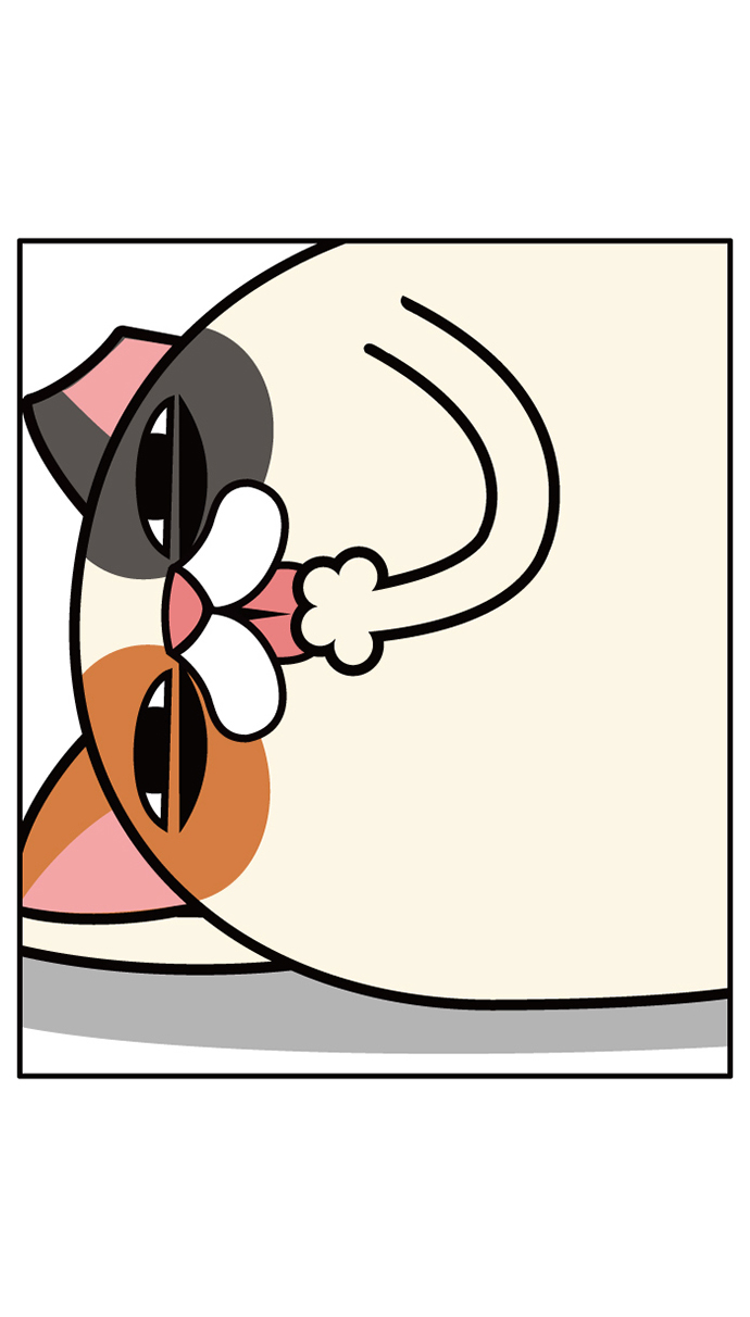 3 페이지