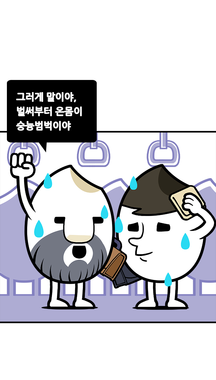 5 페이지