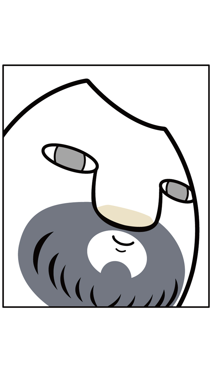 19 페이지