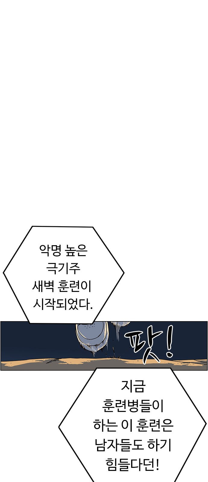 100 페이지
