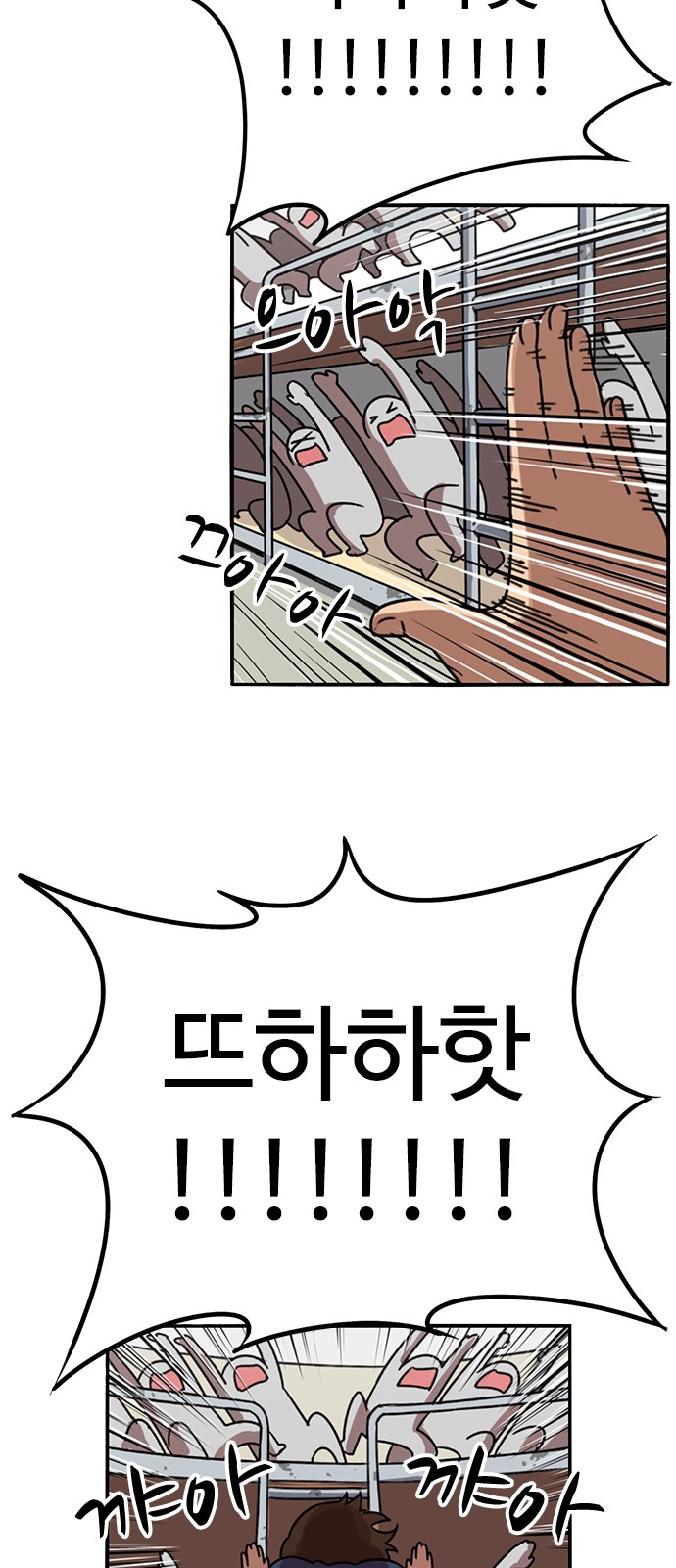 46 페이지