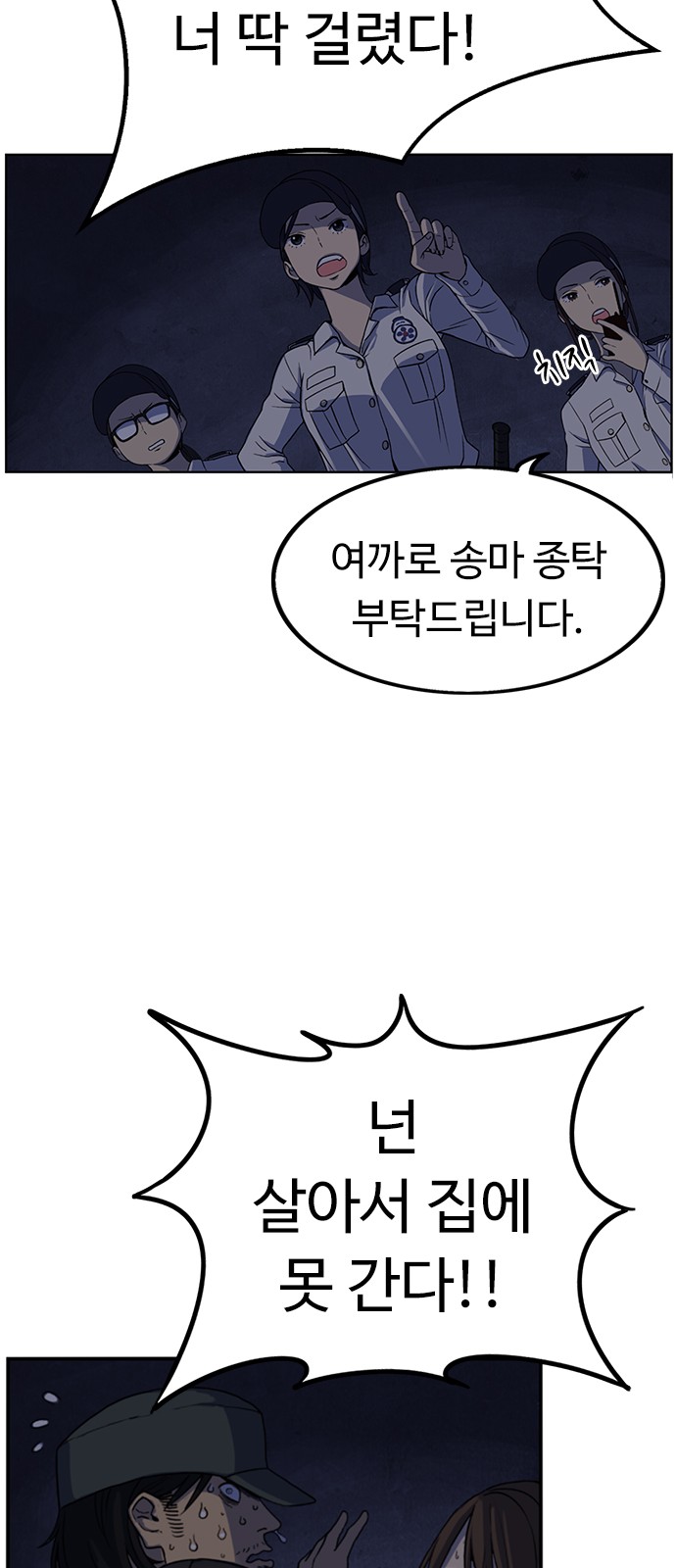 65 페이지