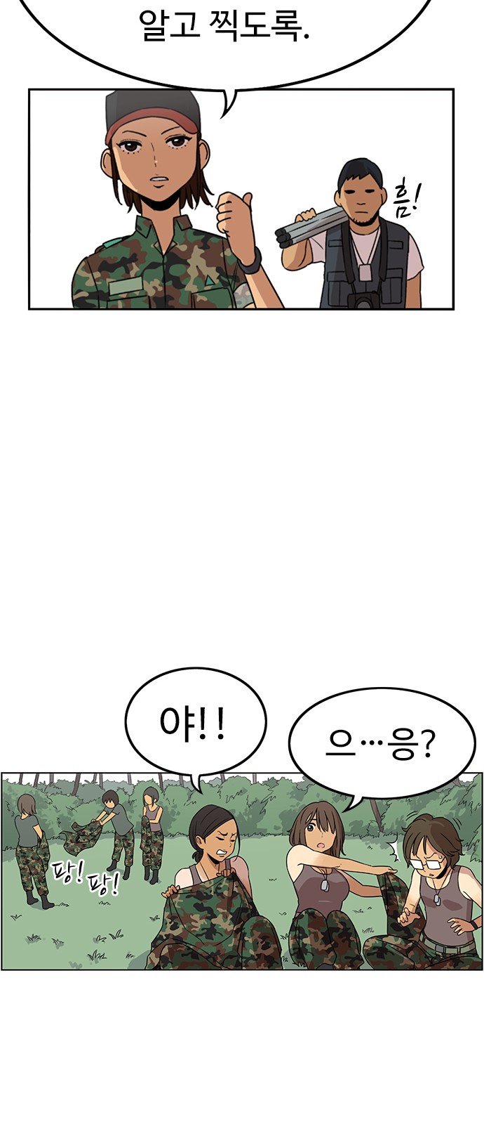 33 페이지