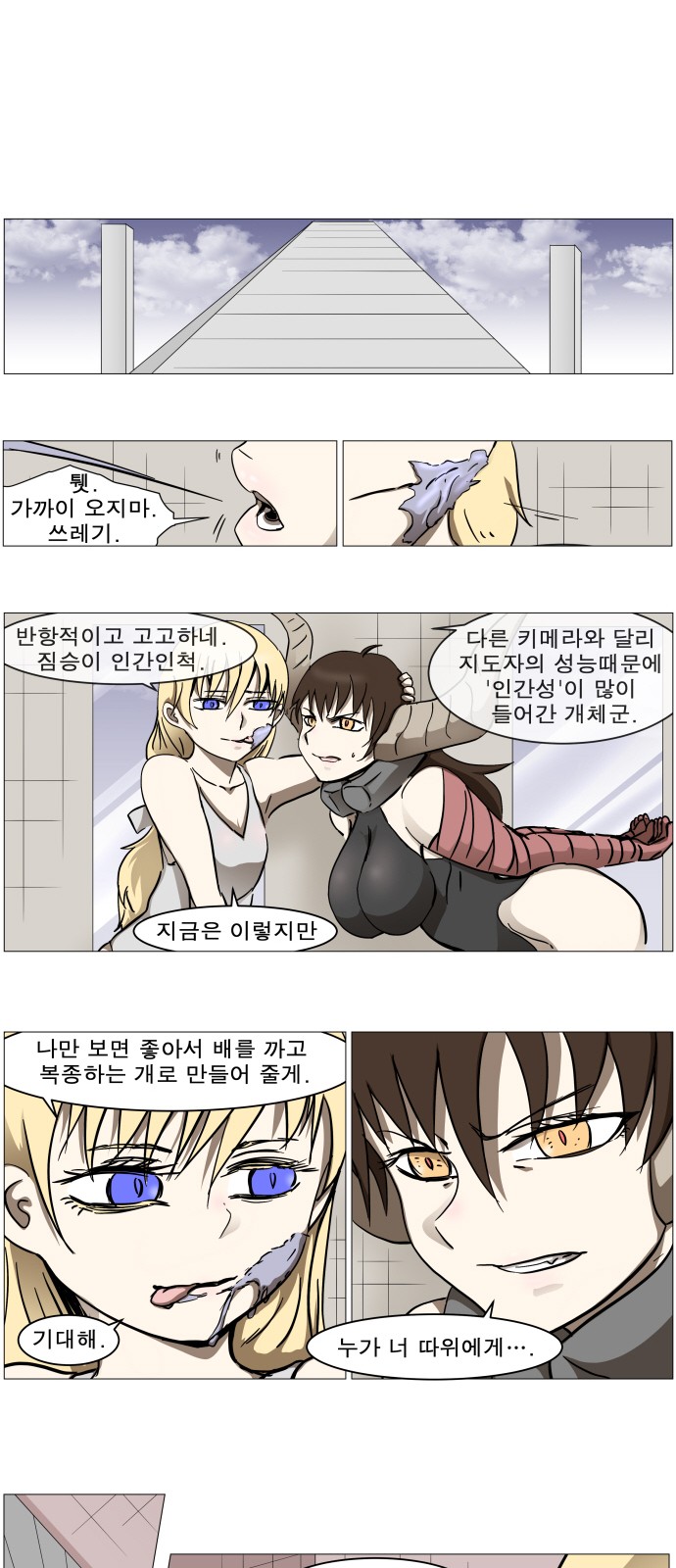 17 페이지