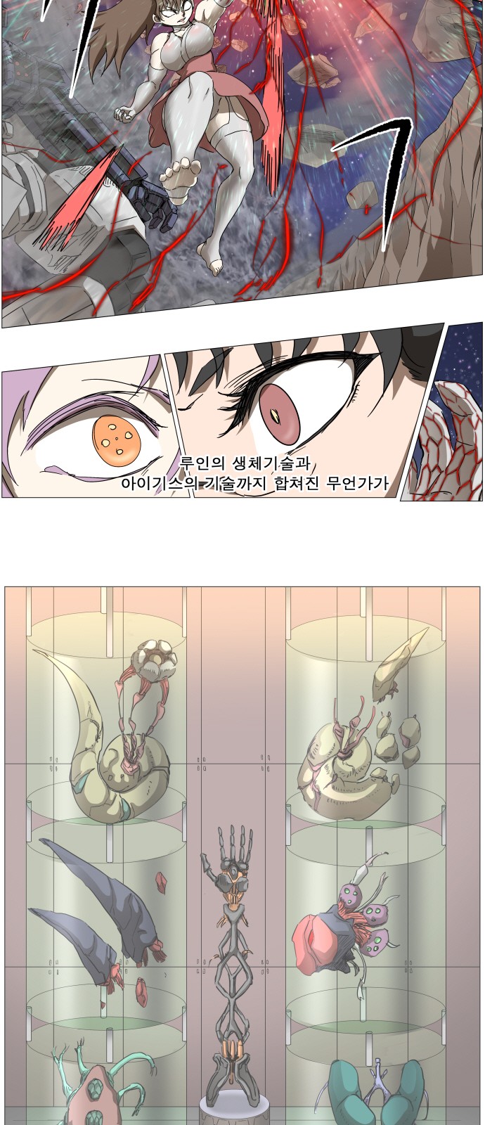 31 페이지