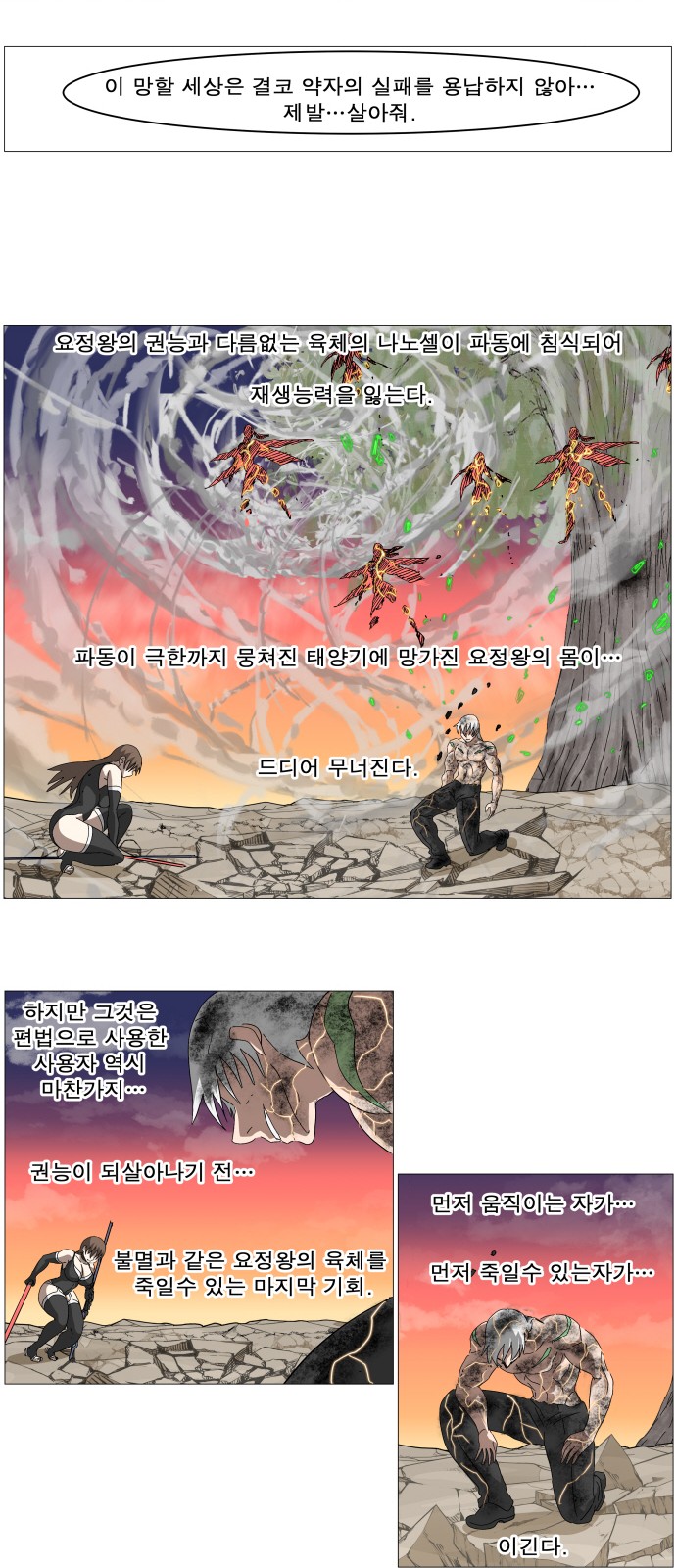 14 페이지