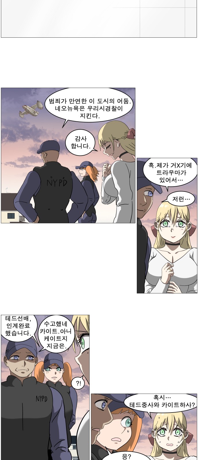 17 페이지