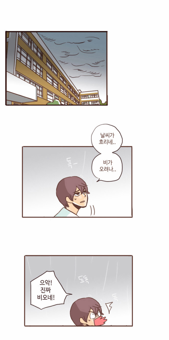 14 페이지