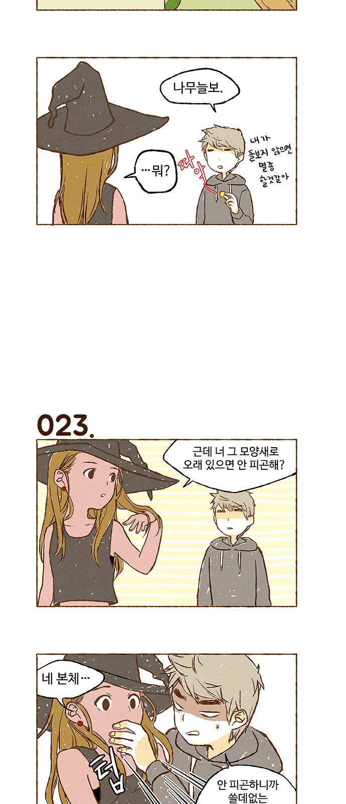 20 페이지