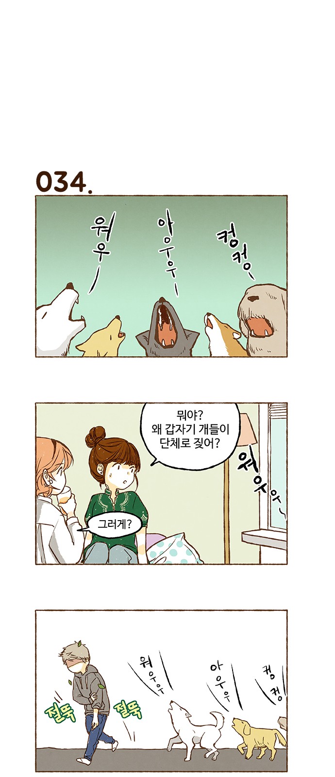 14 페이지
