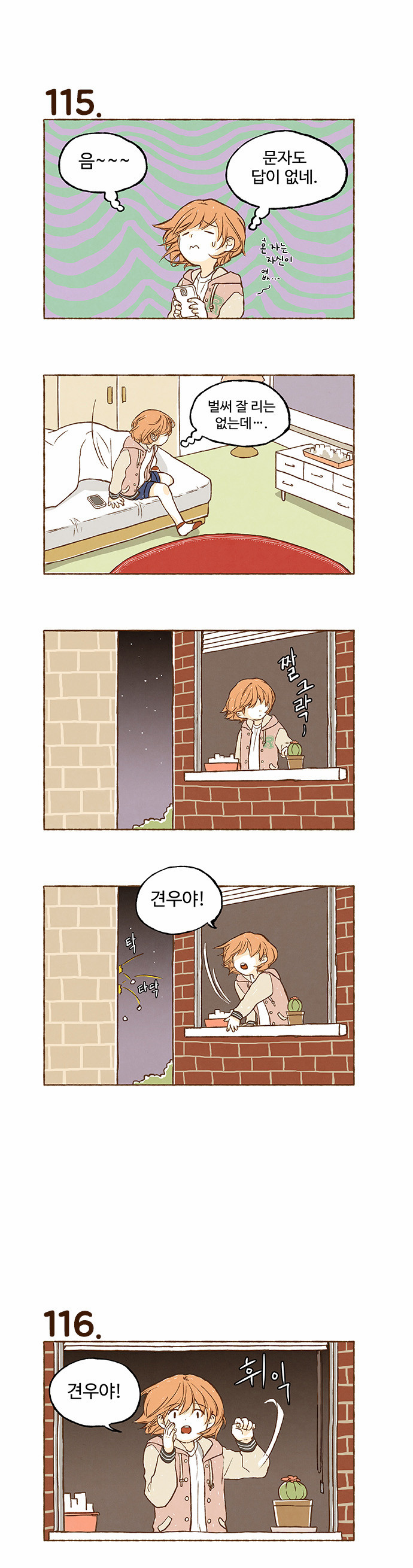 15 페이지