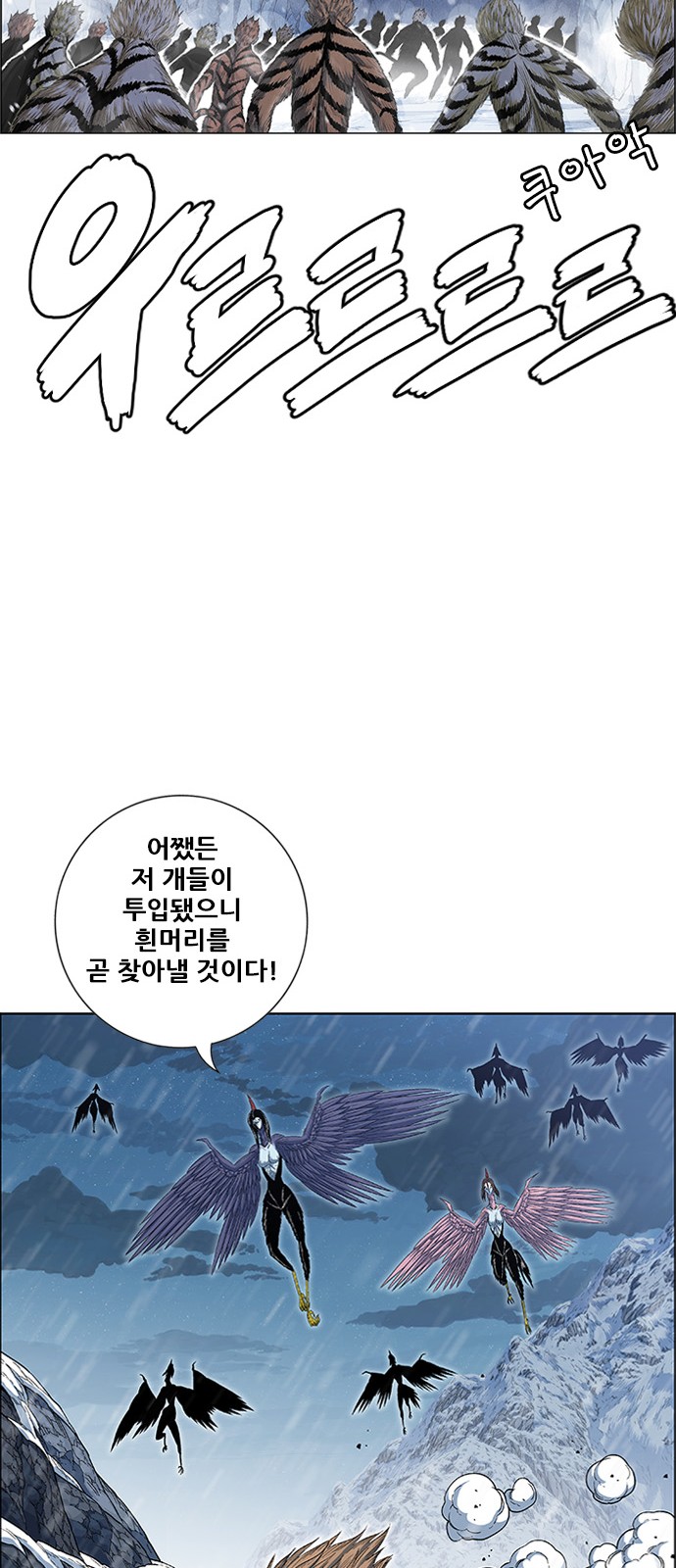 11 페이지
