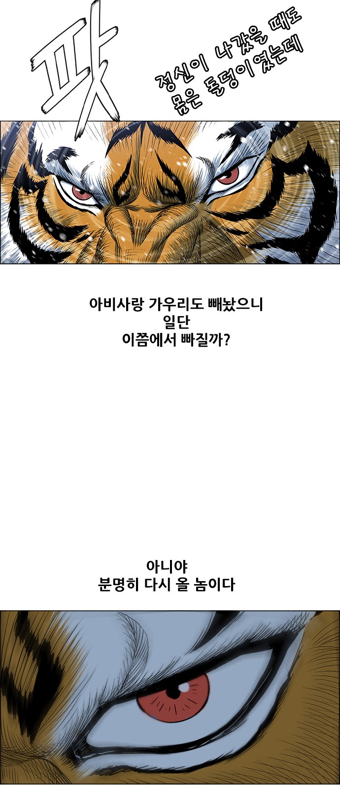 16 페이지