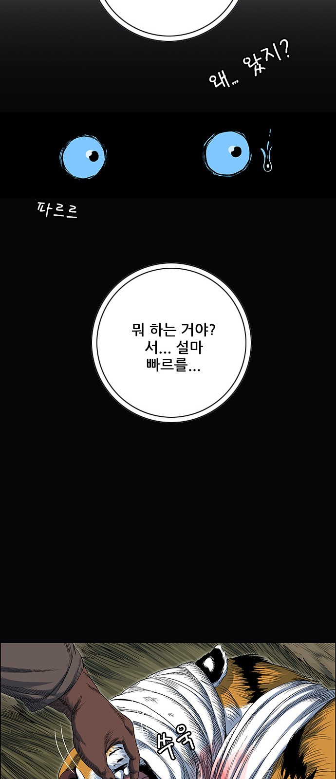 63 페이지