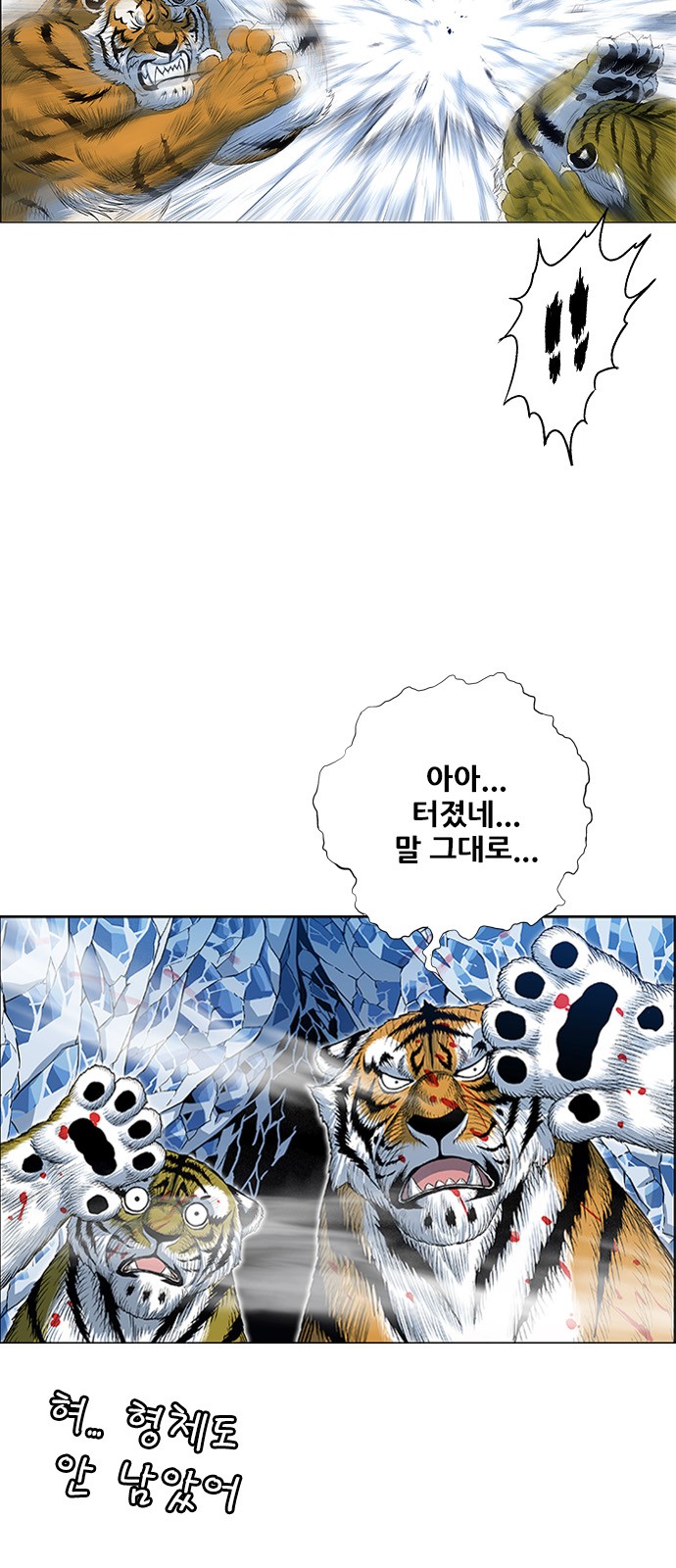 19 페이지