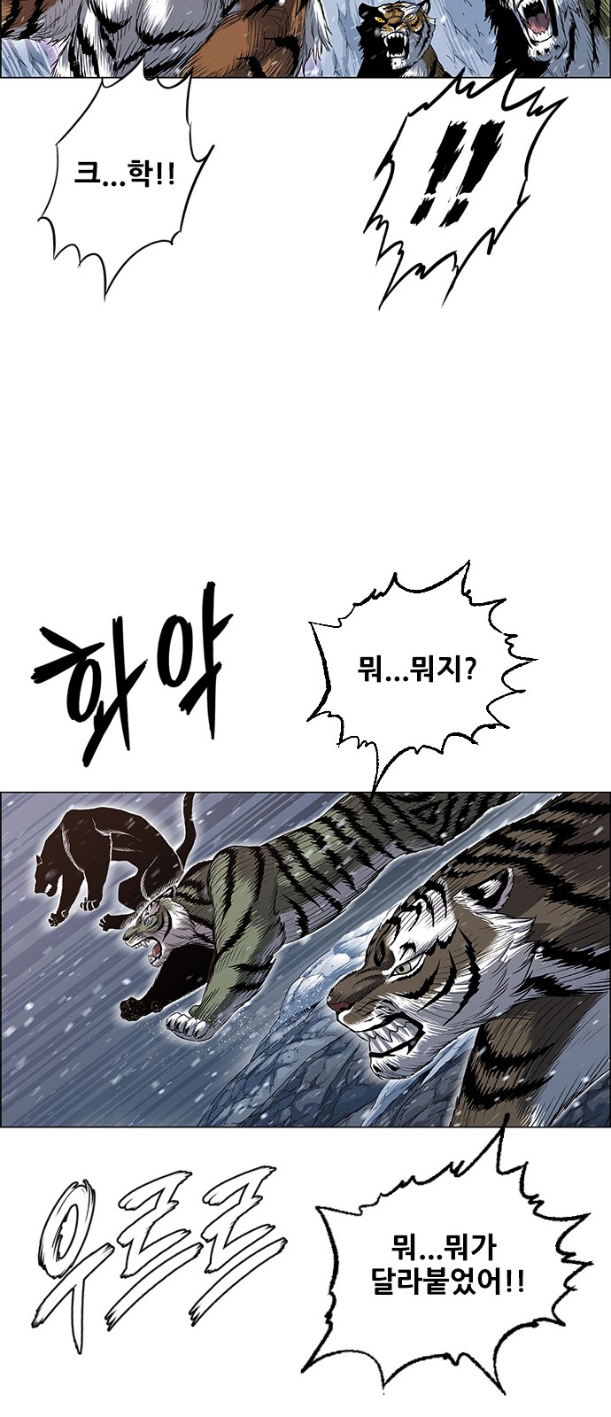 65 페이지