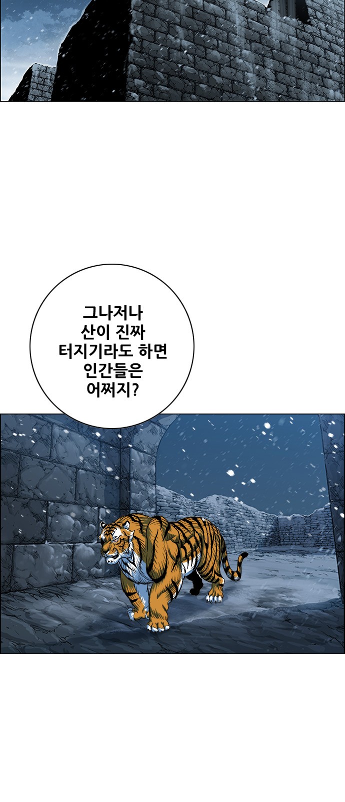 31 페이지