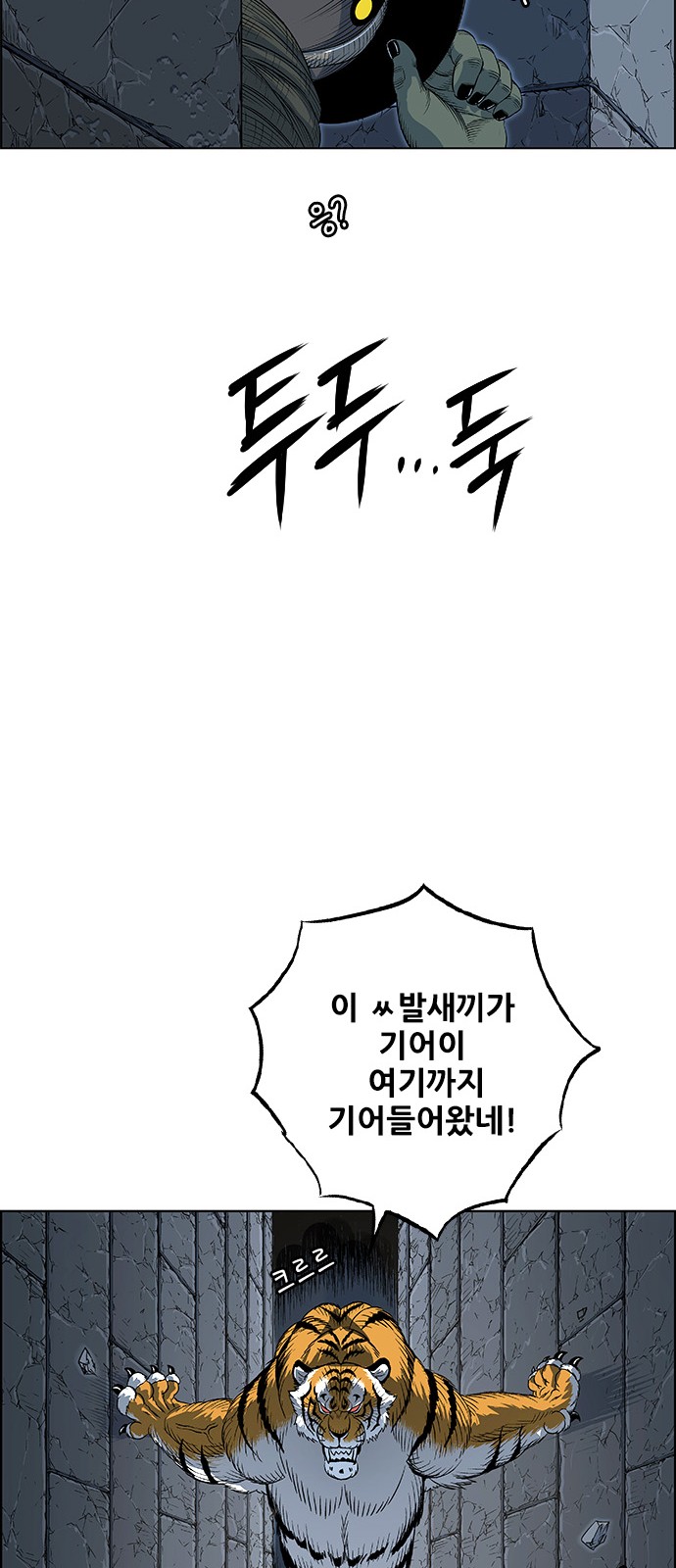 41 페이지